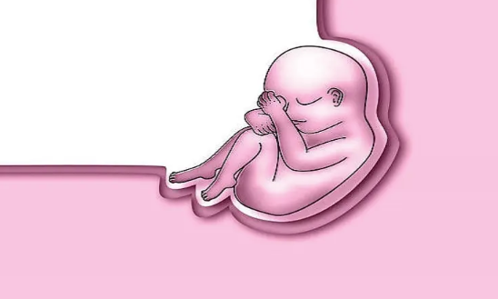 代生子的女人有吗,试管婴儿是如何取精子的？(试管婴儿取精子检查注意哪些