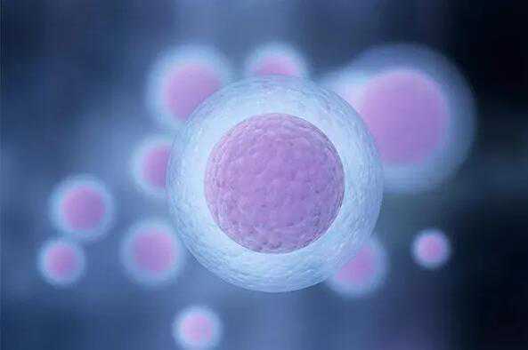 青岛助孕捐卵机构 2022青岛大学附属医院能不能做供卵试管? ‘怎么样从超声彩