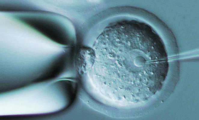 哈尔滨助代孕包成功 2022哈尔滨市生殖医院名单大全-附供卵试管助孕指南 ‘胎