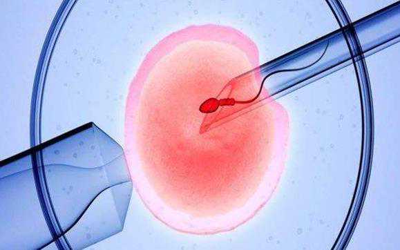 冻胚胎可以拿出去代孕吗_代孕代怀孕助孕_试管婴儿前务必做检查染色体新项目
