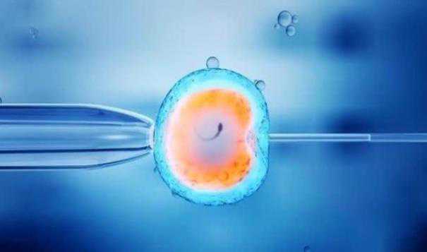 代孕及费用_代孕中心招捐卵_美中宜和试管婴儿成功率 子宫内膜厚是什么原因造